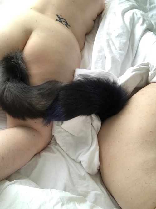 Porn photo Exploits of a Fox and His kitten