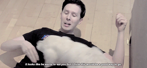 thjslove:giving the people what they want
