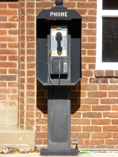 Endangered Species, Pay Telephone Fairfax County Courthouse, Ole Virginny, 2010.Shortly after the ph