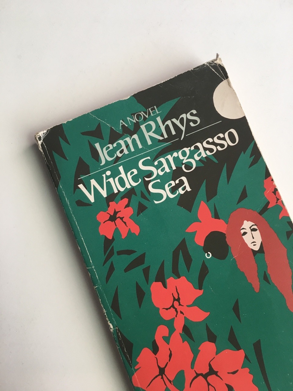Lost And Immerses s Wide Sargasso Sea