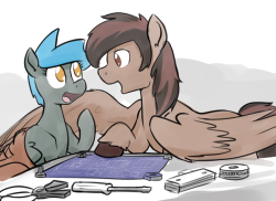 whatisapokemon:  Cute fixer horses discussing