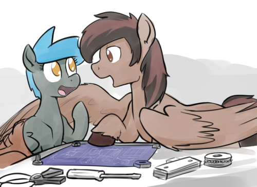 XXX whatisapokemon:  Cute fixer horses discussing photo