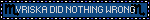 Alternative Text