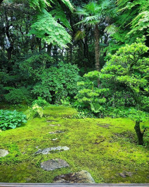 加賀藩十村役 喜多家庭園 [ 石川県宝達志水町 ] ② Kagahan Tomurayaku Kita-ke Garden, Hodatsushimizu, Ishikawa ーー“加賀百