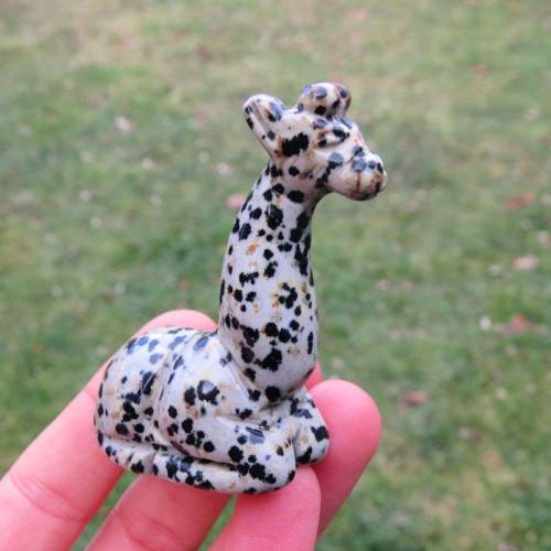 Crystal Giraffe Figurine Carved from Dalmatian Jasper