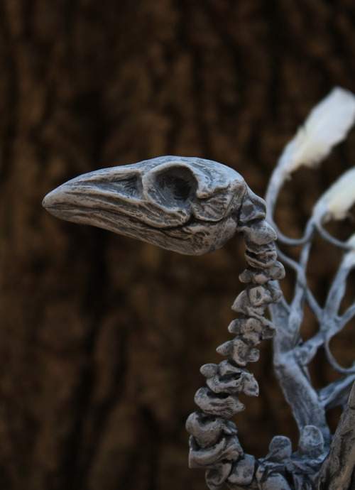 Solas, skeleton zombie bird sculpture. He was so fun to make! He is for sale on etsy here