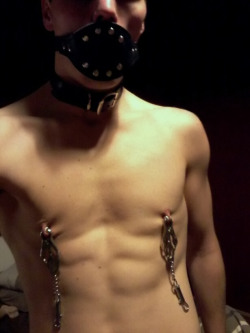 gayboykink:Clover clamps… Who on Earth can handle weights on these divine things?! *whimpers*  