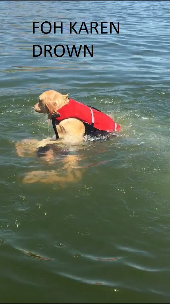 He's still a good doggo