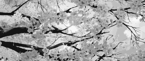 And Somehow We Dont Let Ourselves Stay Steeped In Our Regrets. Life Is Beautiful