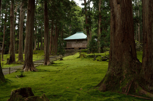 平泉寺白山神社