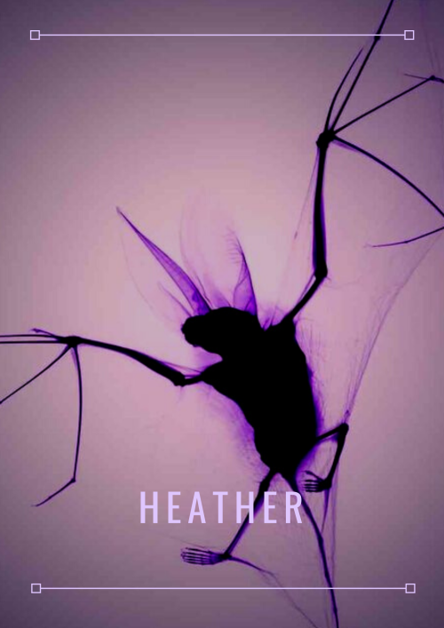 briarfox13: Heather Aesthetic Posters 