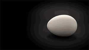 zerostatereflex:  Chicken Embryo Development in 21 Days This is amazing.    