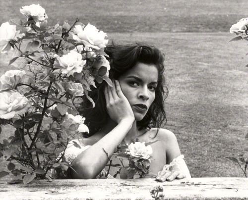 rosepetalbath: Bianca Jagger