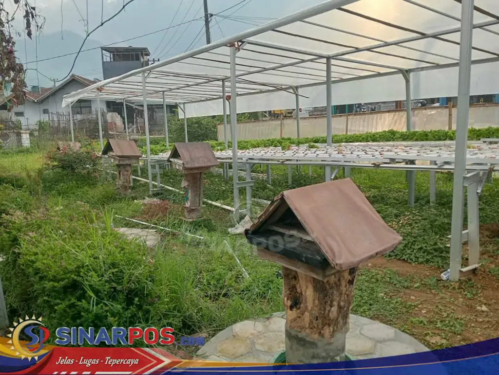 Terapi Sengat Lebah Tewel: Pengobatan Tradisional Alami dan Ampuh dari Bandung