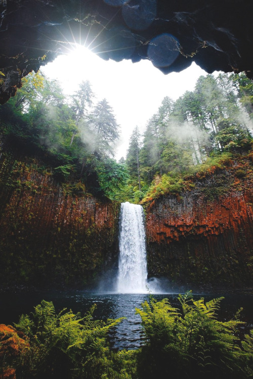 lsleofskye:    Hidden wonders in Oregon 🌲