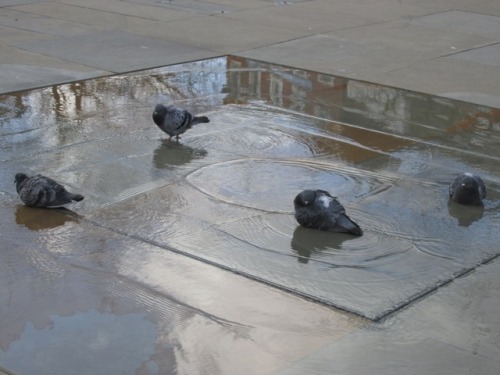 silver-whistle: Trinity Square fountain-pools Meant to reflect the Gothic minster. Perfect paddling 