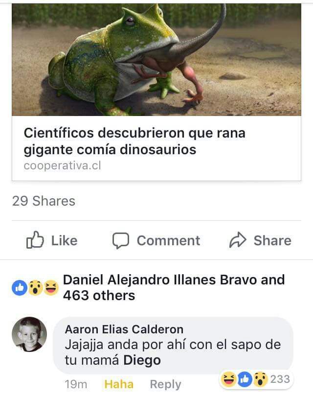 ¡FUTUBANDERA ES LA LUUUUUZ!