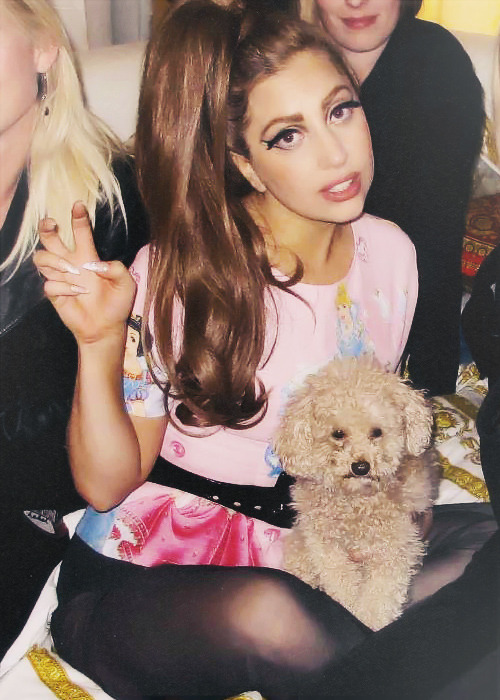 donatella eats me out
