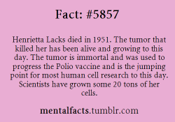 sorthvania:  naamahdarling:  sonneillonv:  ohfortheloveofcas:  mentalfacts:  Fact# 5857: Henrietta Lacks died in 1951. The tumor that killed her has been alive and growing to this day. The tumor is immortal and was used to progress the Polio vaccine and