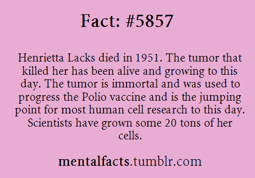 sorthvania:  naamahdarling:  sonneillonv:  ohfortheloveofcas:  mentalfacts:  Fact# 5857: Henrietta Lacks died in 1951. The tumor that killed her has been alive and growing to this day. The tumor is immortal and was used to progress the Polio vaccine and