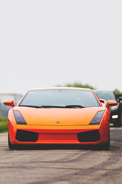 kwuels:  Lamborghini Gallardo © | via NoahSecchi