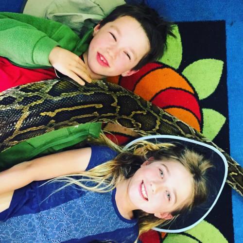 It&rsquo;s a #reptile-themed #saturdaynight at Kids Play Night! Kids will meet and learn all abo