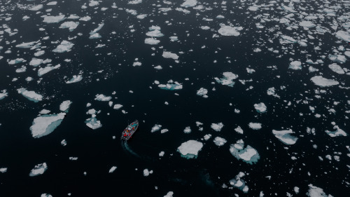 iced in - traveling through newfoundland and labrador 