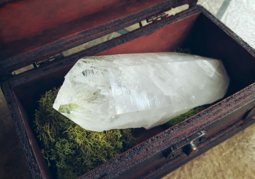 Witches Crystal box. Pictured here with a fairly large quartz piece. Optional moss cushion.SHOP
