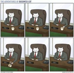 tomibunny: a-night-in-wonderland: The Adventures Of Business Cat #i like these cause it implies that depsite all these weird things he does hes so good at buisness #that they let it slide 