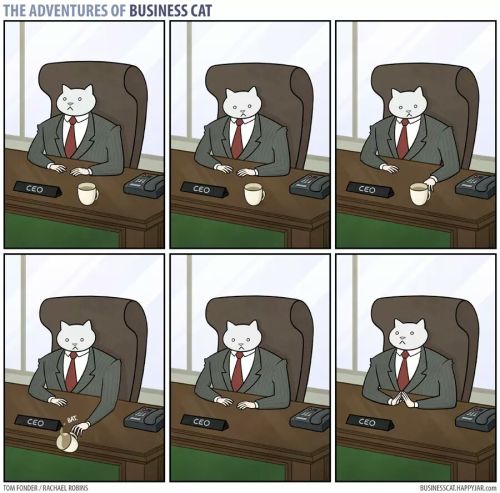 tomibunny: a-night-in-wonderland: The Adventures Of Business Cat #i like these cause it implies that