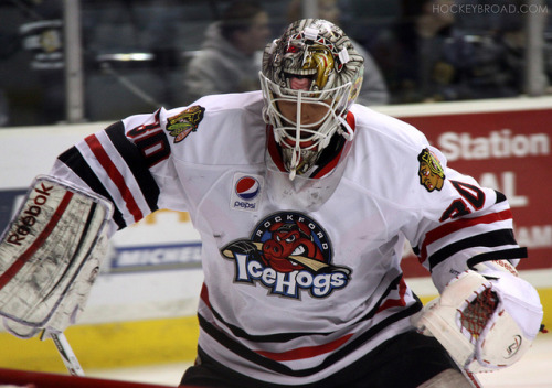 Carter Hutton, Rockford IceHogs