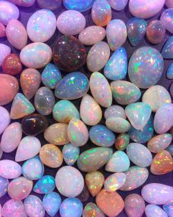 absolutepollocks:  opal