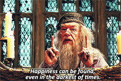 rosereturns:Typical Harry Potter Quotes(Quotes that highlight the theme of the series)