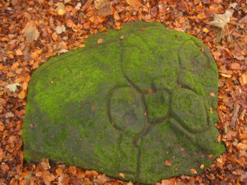 iseesigils: samhain stroll- Neolithic cup and ring stone- ecclesall woods- sheffield.