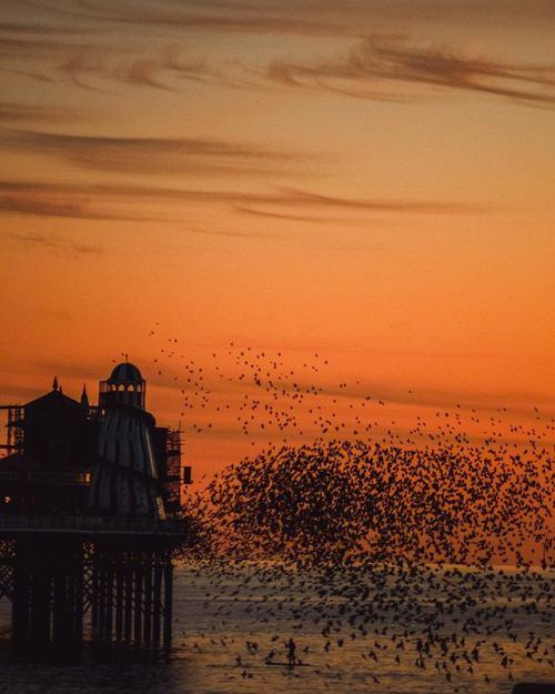 A variant on my most well received image
⠀⠀⠀⠀⠀⠀⠀⠀⠀
⠀⠀⠀⠀⠀⠀⠀⠀⠀
⠀⠀⠀⠀⠀⠀⠀⠀⠀
#staythefuckhome #thankyounhs
⠀⠀⠀⠀⠀⠀⠀⠀⠀
⠀⠀⠀⠀⠀⠀⠀⠀⠀
⠀⠀⠀⠀⠀⠀⠀⠀⠀
#ocean #ukpotd #brighton #britains_talent #brightonbeach #lovegreatbritain #icu_britain #photosofbritain...