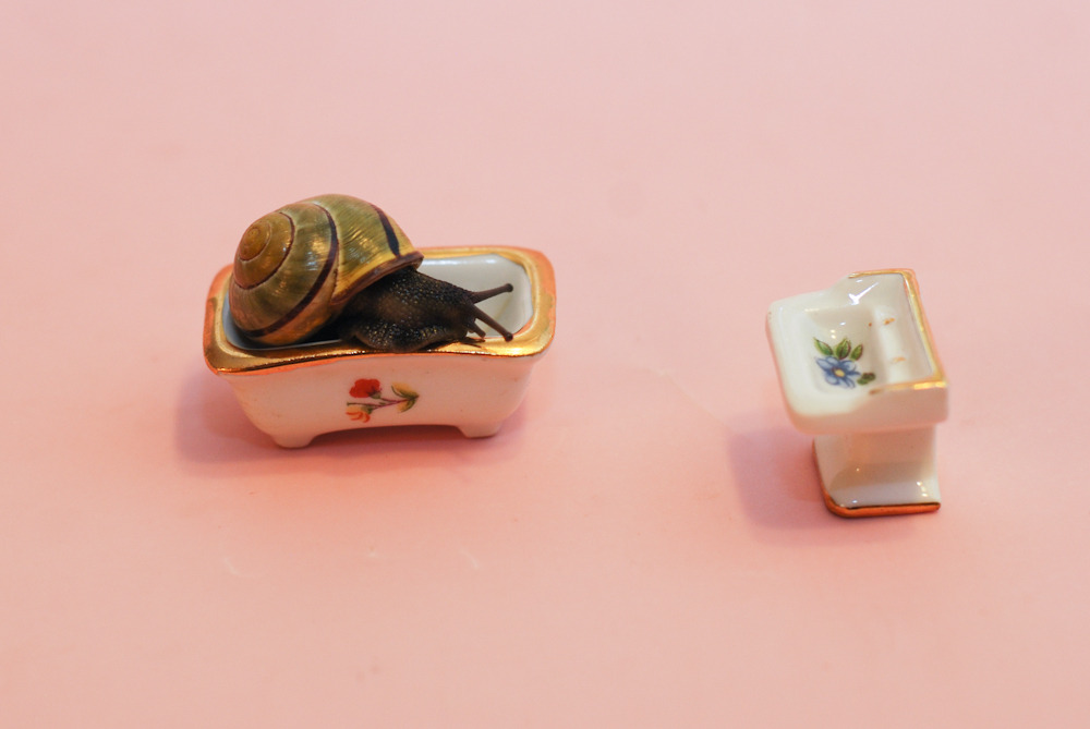 oliverthesnail:  Rub-a-dub-dub, a snail in the tub! 