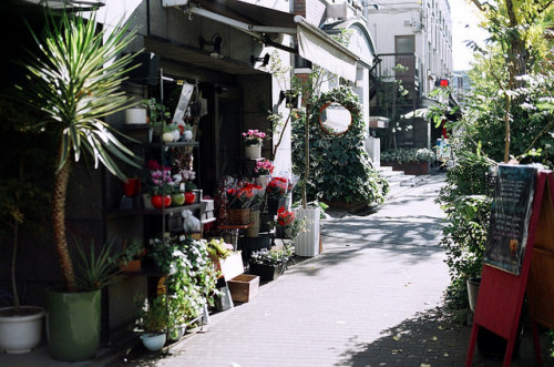 09890001 - a flower shop by zyu10 on Flickr.