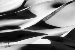 artblackwhite:  One with Nature by AJLee Death Valley National Park,Death valley,Eureka dunes,Forms,Lights,Sand dunes,Shadows,Sunset 