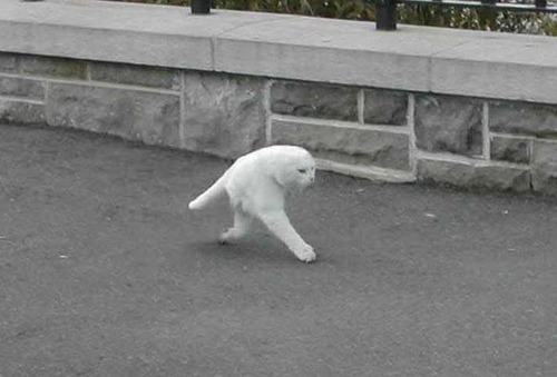 asmilinggoddess:  asmilinggoddess:  &ldquo;failed&rdquo; panoramas will forever