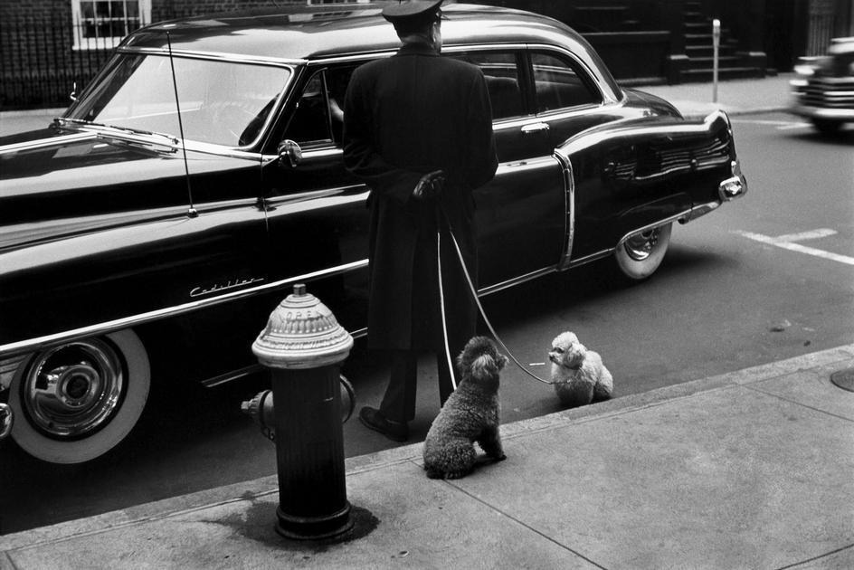 NYC, 1953 by Elliott Erwitt