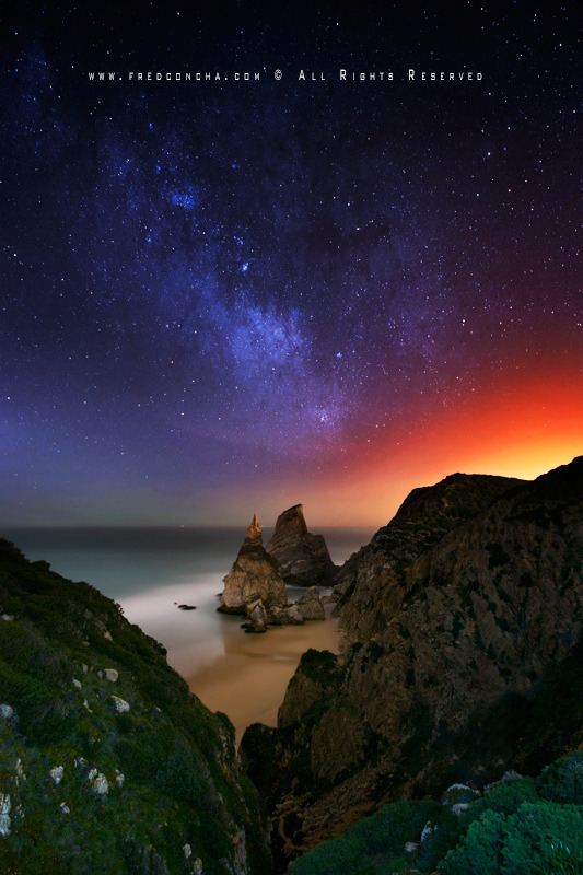 tigertravelguide:  Ursa by night (by FredConcha)