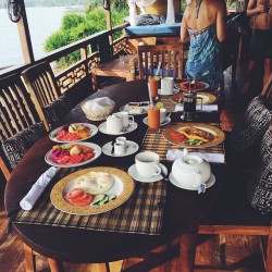 wildwillo:  Breakfast is served 