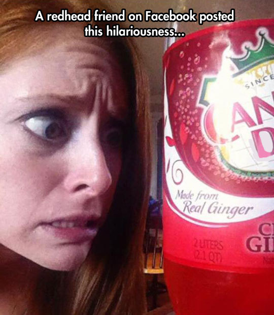 advice-animal:  Some Companies Have No Respecthttp://advice-animal.tumblr.com/