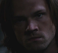 we-cant-giggle-its-a-crimescene:  blue-deducing-impala:  carry-on-my-wayward-feel: