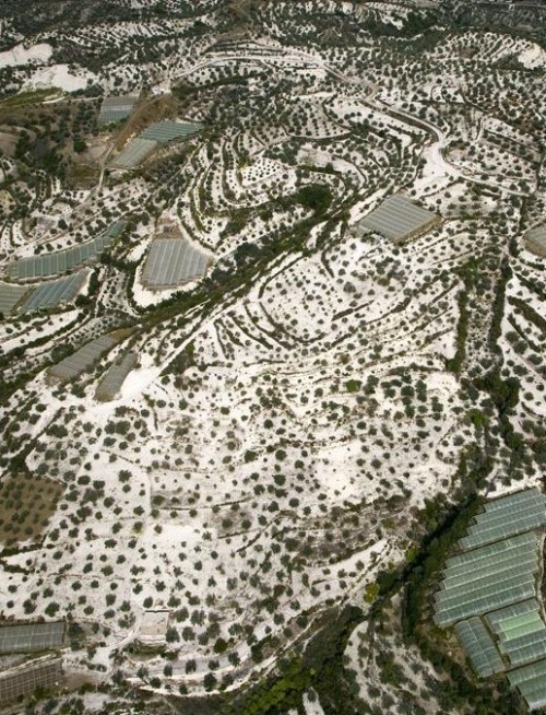 Agricultural landscape near Baniyas, Tartus Governorate, Syria (35°07’ N, 35°56’ E).