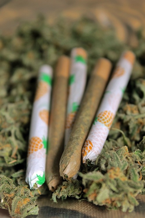vanth:  Smoke joints to make the troubles go away.one for you and you and you! 