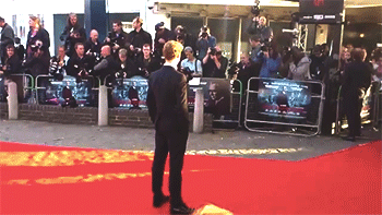 drwho-lock:  cumberbuddy:  thedoctorsjawn:  so cute when he sees his fans he immediately leaves the photographers.   AHHHHHHHHHHHHHHHHHHHHHHHHHHHHHHHHHHHHHHH That little skippy shuffle he does when he sees the fans. THAT’S LOVE THAT IS.  THIS IS WHY