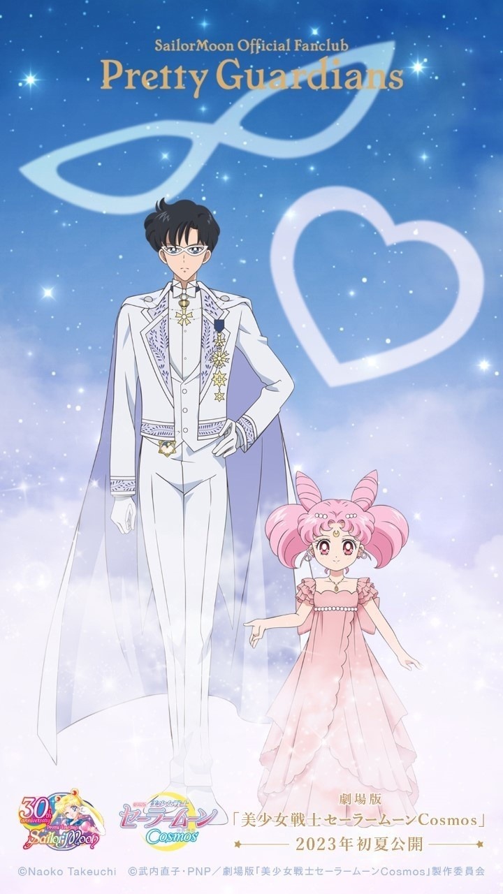 Sailor Moon Vietnam Prince Endymion Princess Usagi Small Lady Sailor Moon Vietnam Prince Endymion Princess Usagi Small Lady