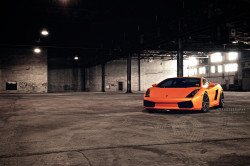 automotivated:  (via 500px / Photo “This Bull is on Fire” by C3 Photography)