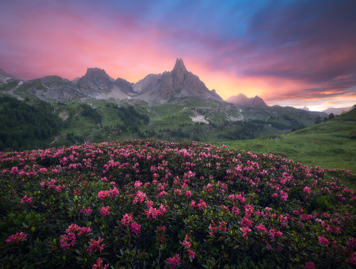 By Aurlien Bernard